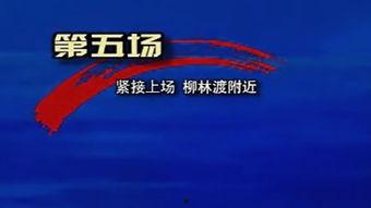 奇米网国产,探索本土创意与创新的无限可能