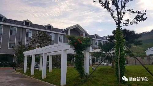 17C丨国产丨精品入口,领略匠心独运的艺术魅力