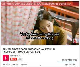 国产视频欧美,欧美市场刮起中国风